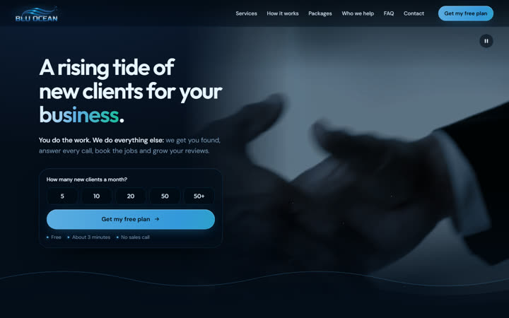 Home page of the Blu Ocean Innovations preview